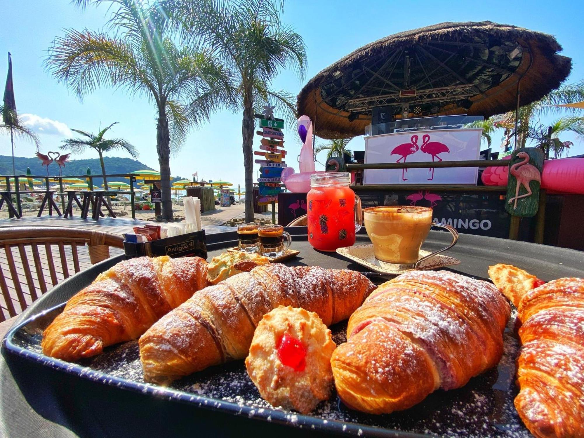 Flamingo Maison d'hôtes *